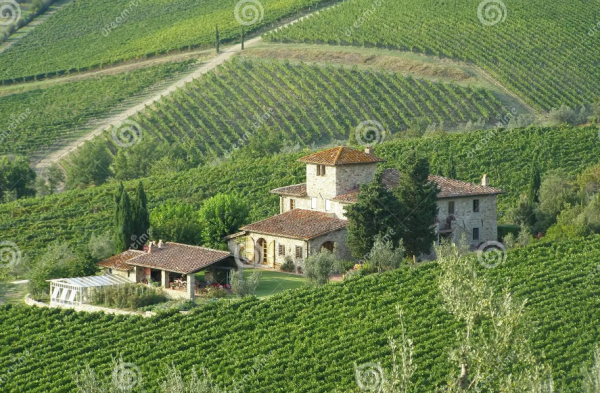 Villa dengan teras menghadap kebun anggur atau perkebunan